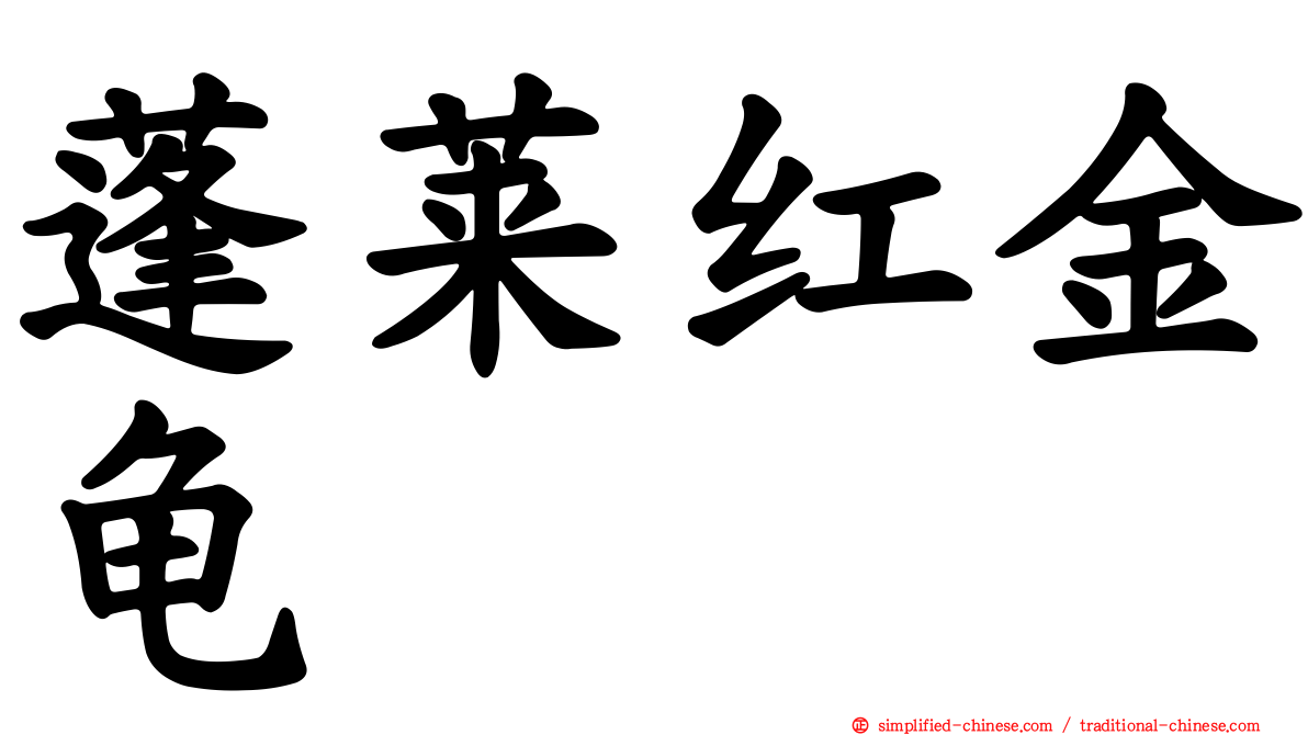 蓬莱红金龟