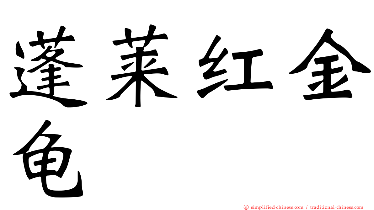 蓬莱红金龟