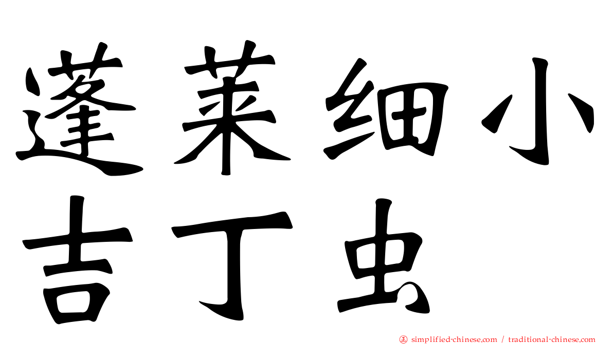 蓬莱细小吉丁虫
