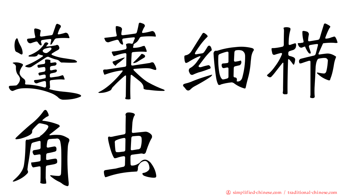 蓬莱细栉角虫