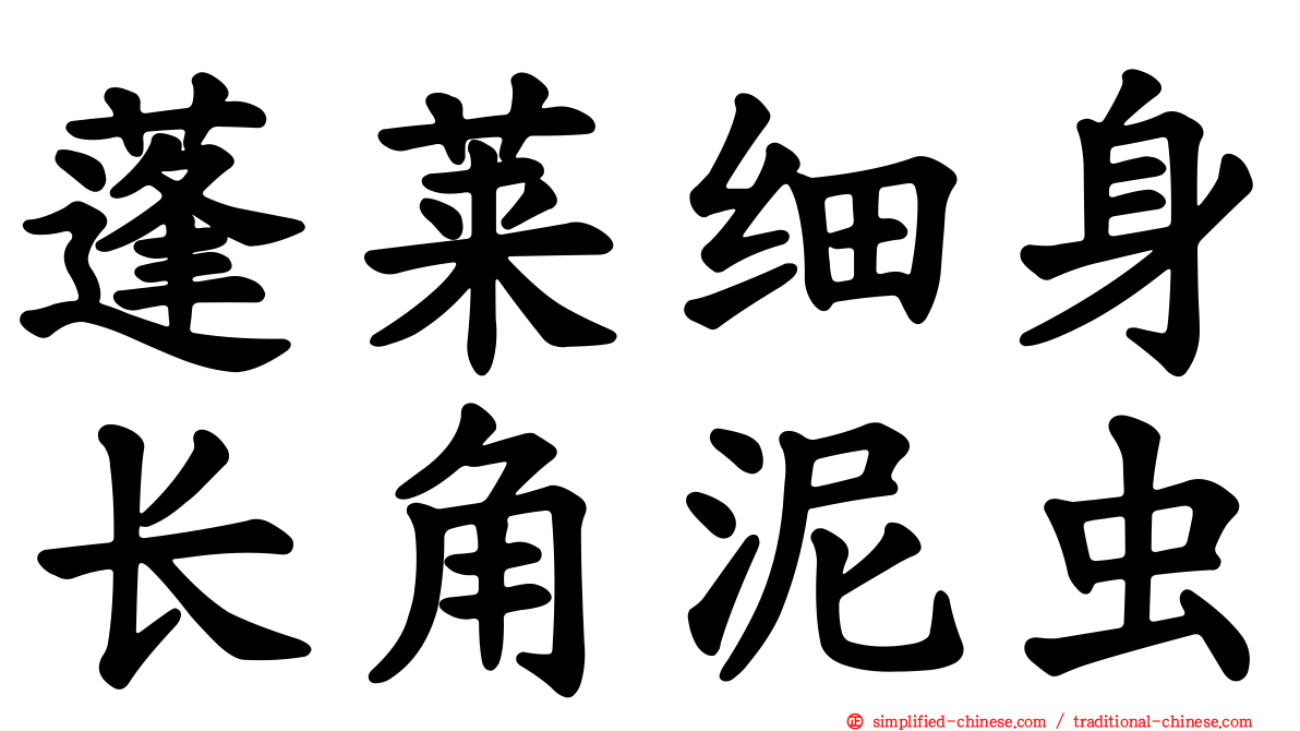 蓬莱细身长角泥虫