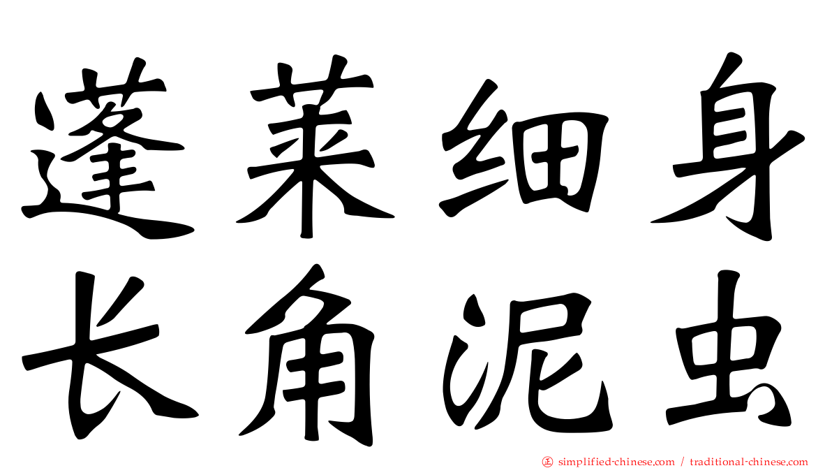 蓬莱细身长角泥虫