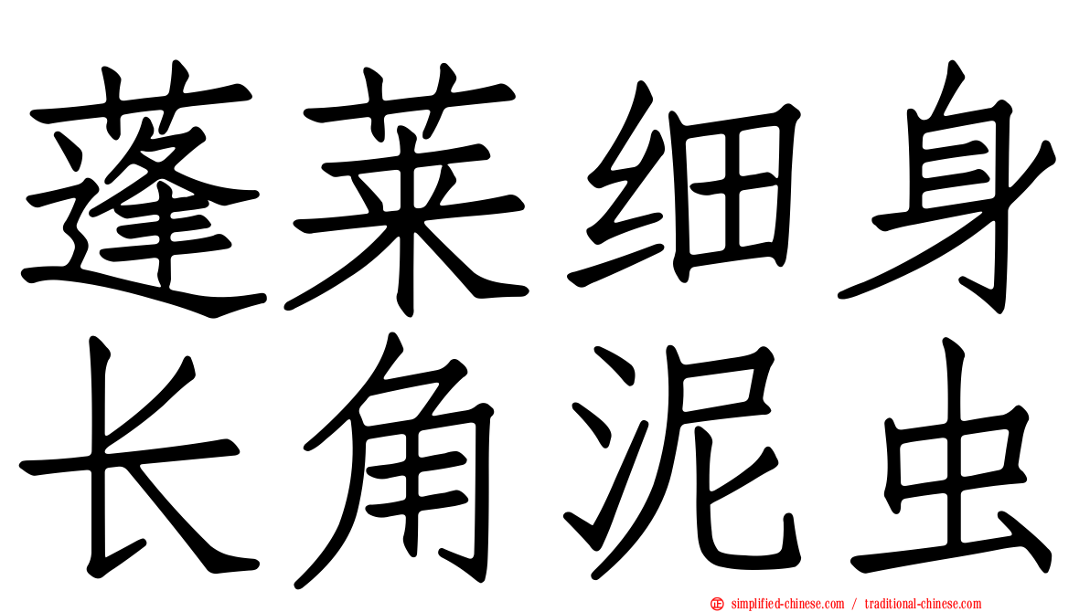 蓬莱细身长角泥虫