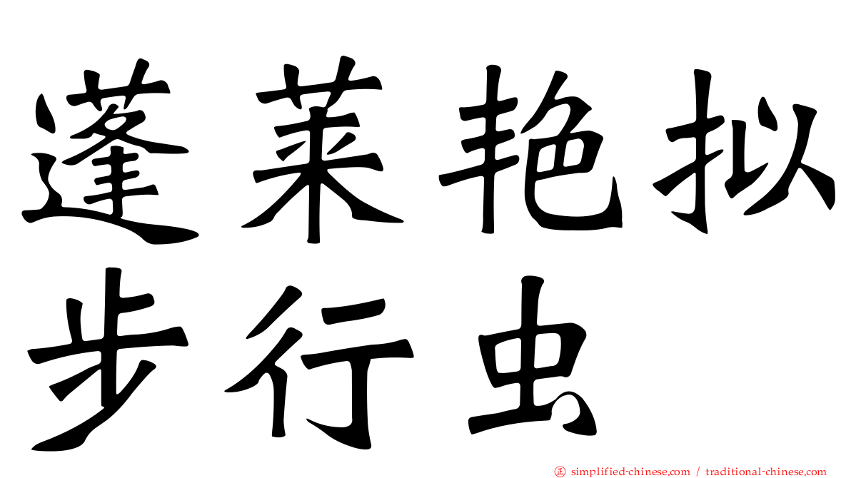 蓬莱艳拟步行虫