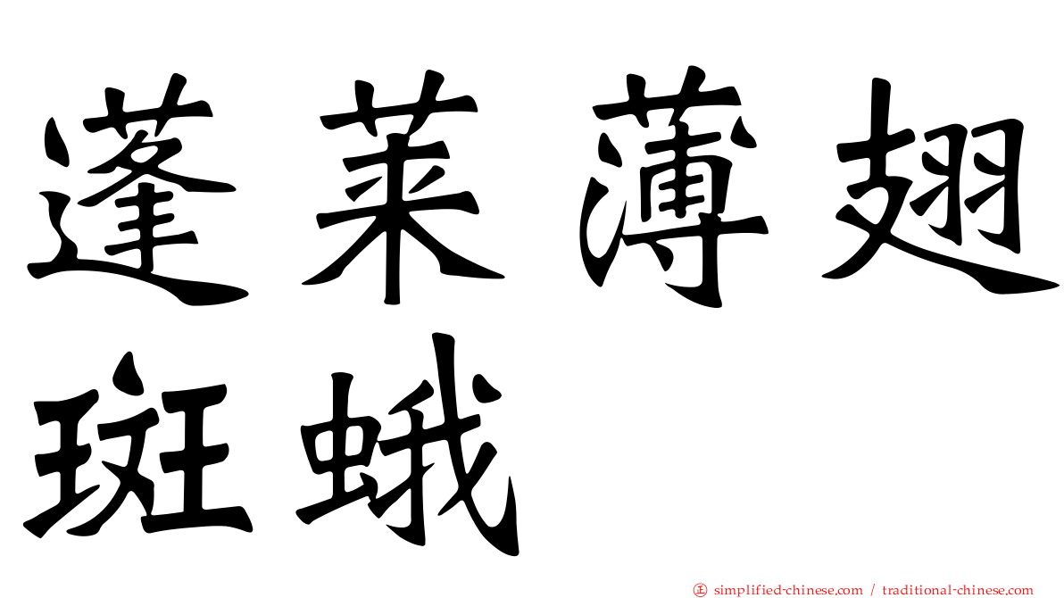 蓬莱薄翅斑蛾