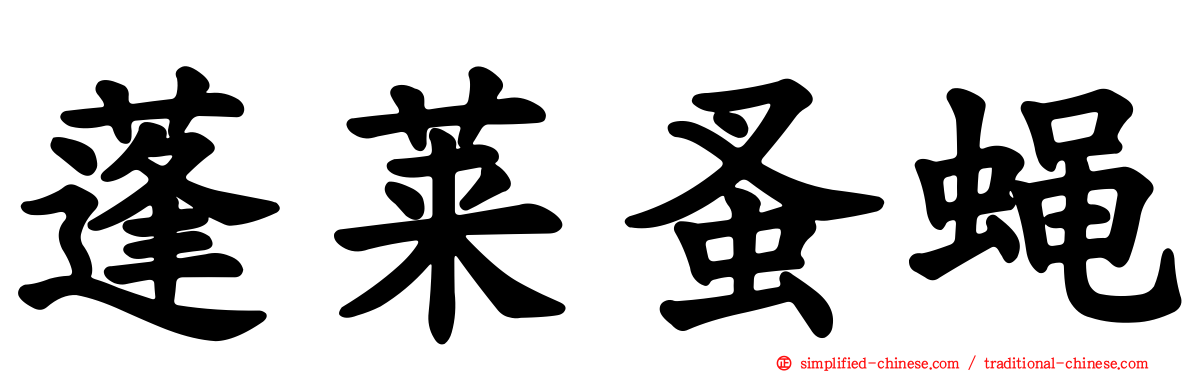 蓬莱蚤蝇