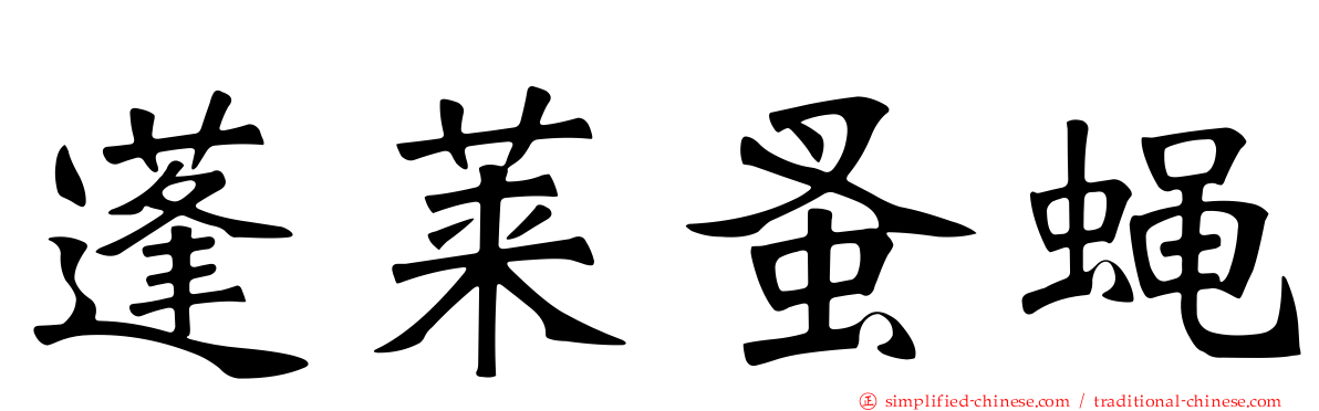 蓬莱蚤蝇