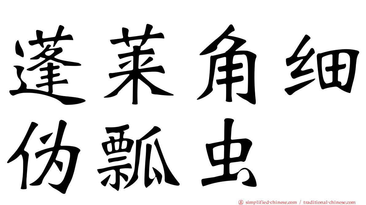 蓬莱角细伪瓢虫