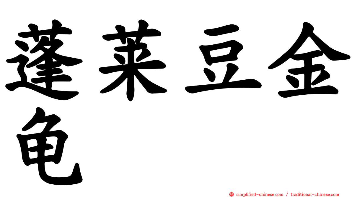 蓬莱豆金龟
