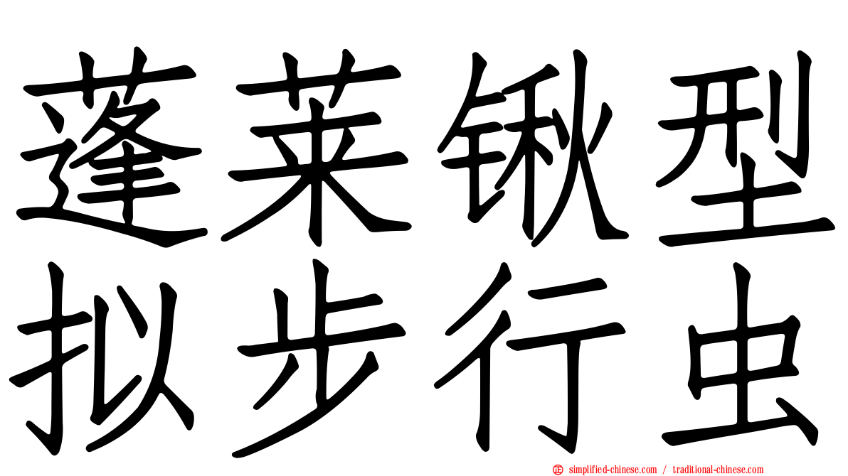 蓬莱锹型拟步行虫