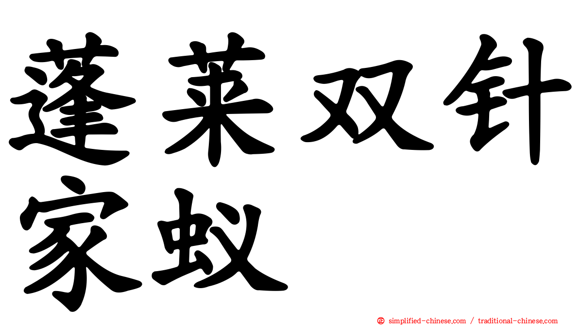 蓬莱双针家蚁