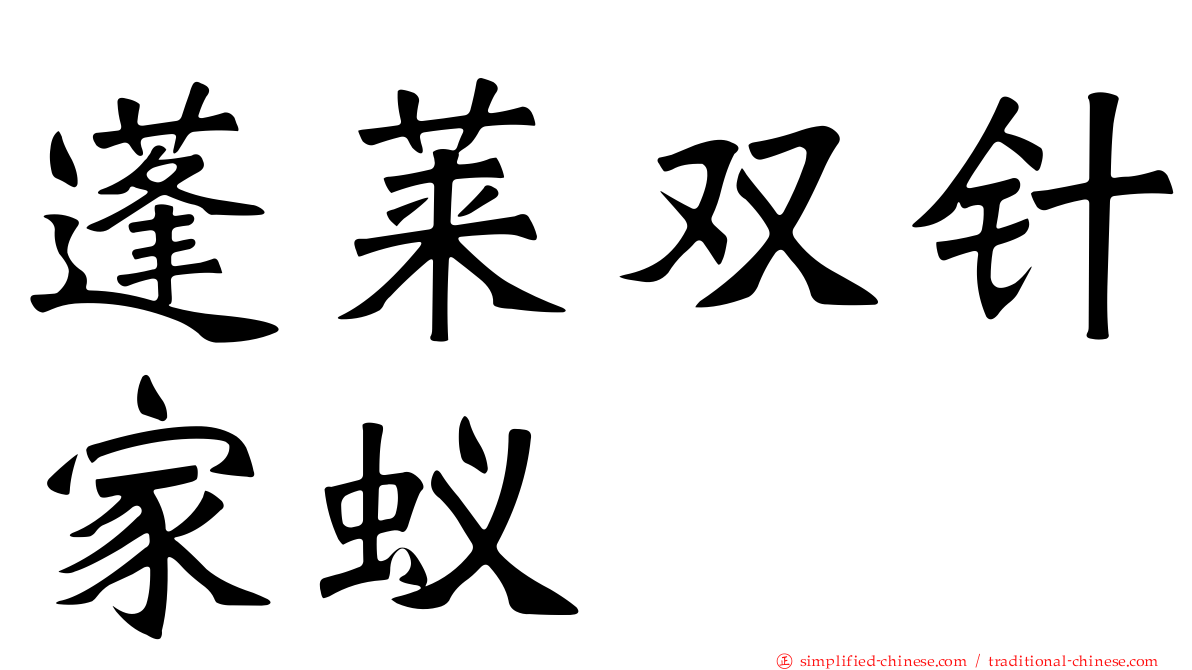 蓬莱双针家蚁