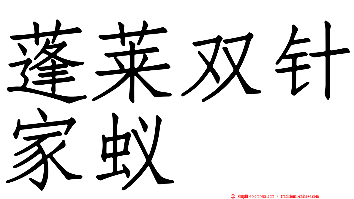 蓬莱双针家蚁