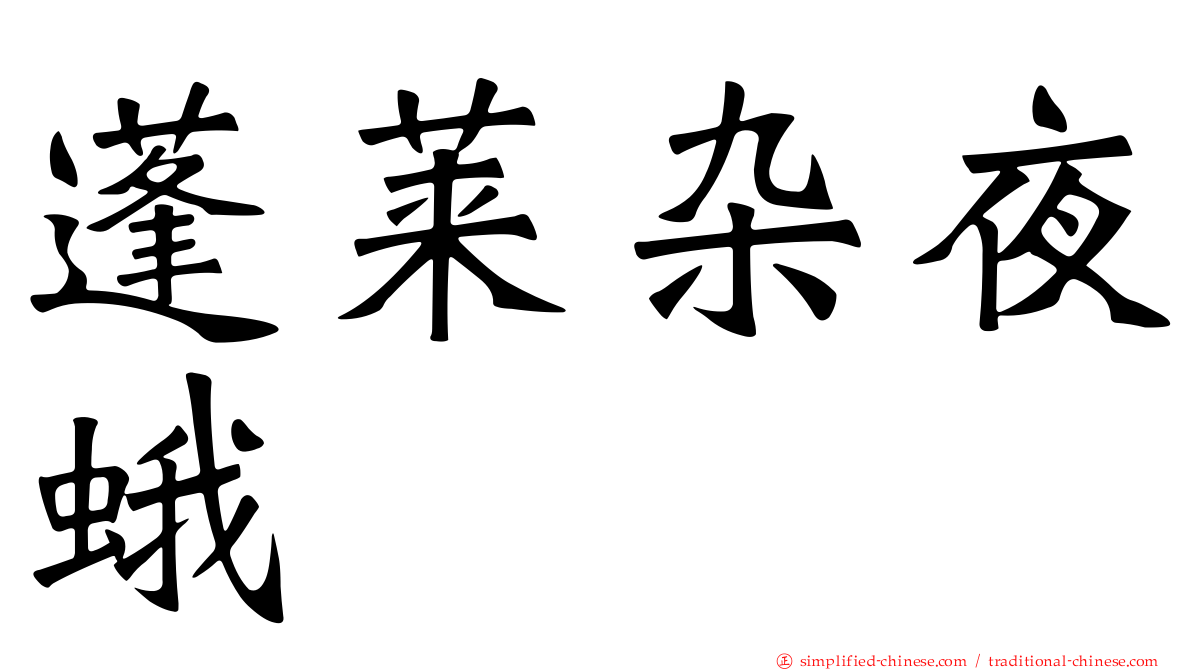 蓬莱杂夜蛾