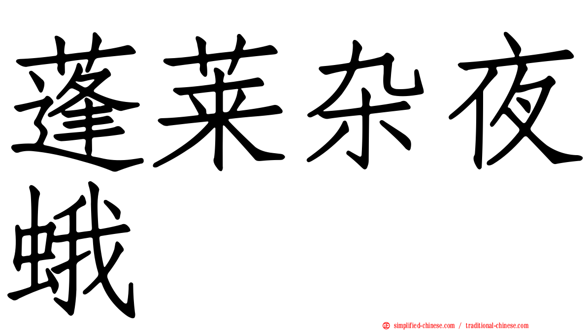 蓬莱杂夜蛾