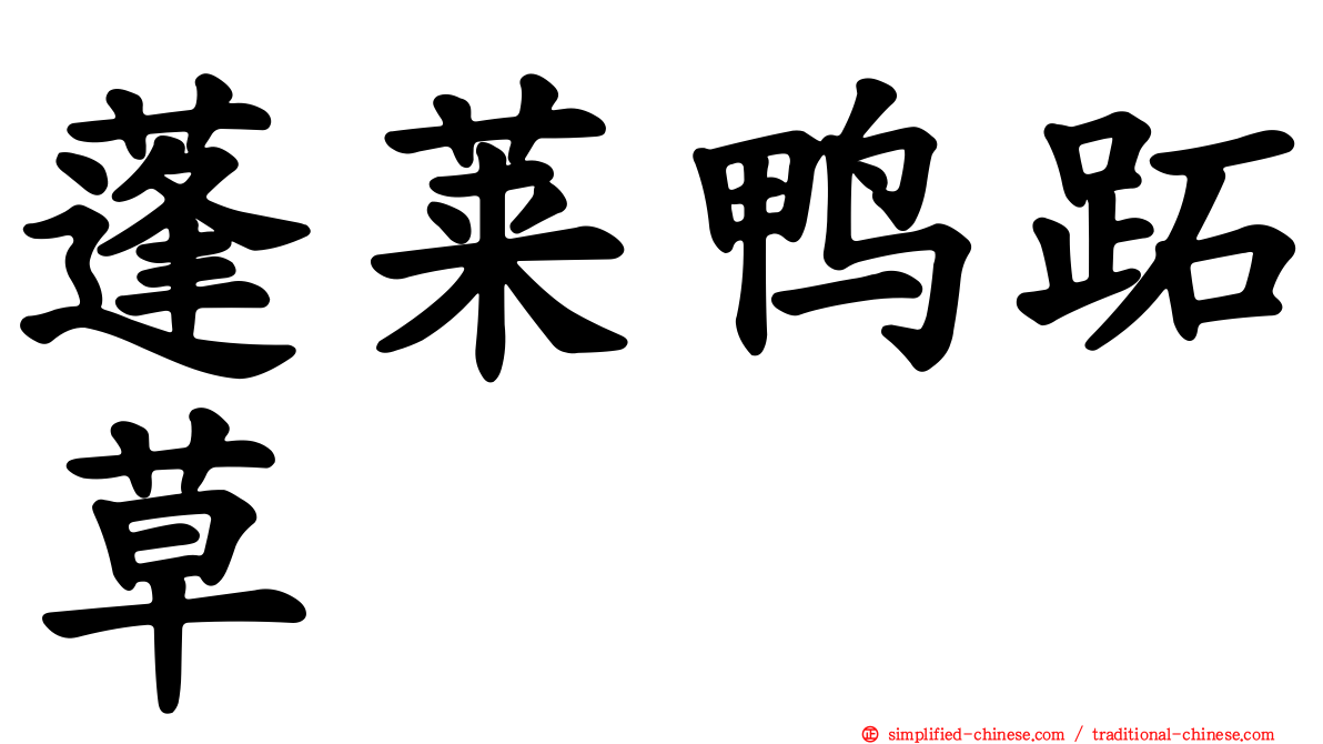 蓬莱鸭跖草
