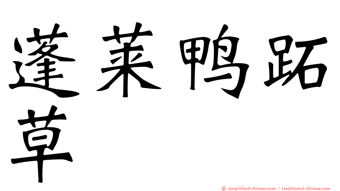 蓬莱鸭跖草