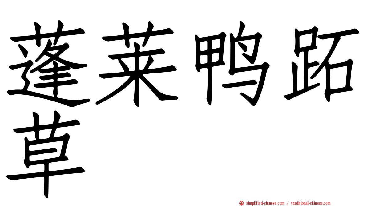 蓬莱鸭跖草