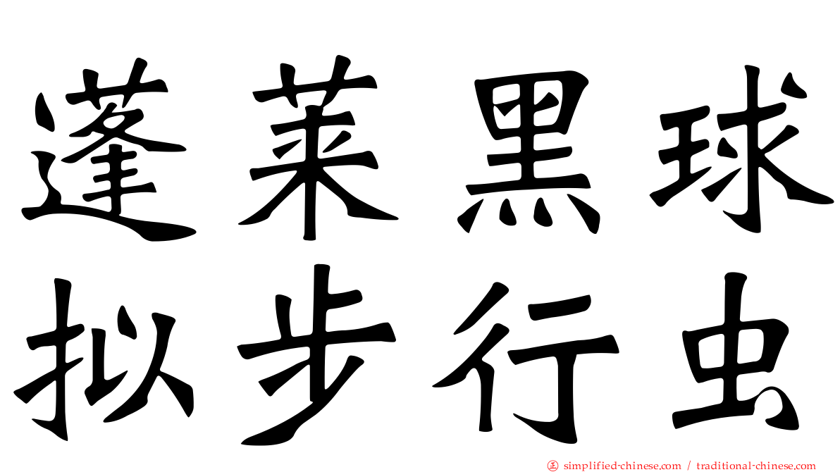 蓬莱黑球拟步行虫