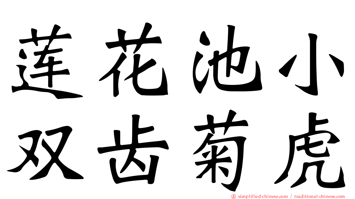 莲花池小双齿菊虎