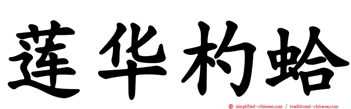 莲华杓蛤