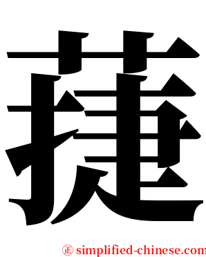 蓵 serif font