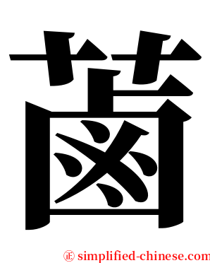 蓾 serif font