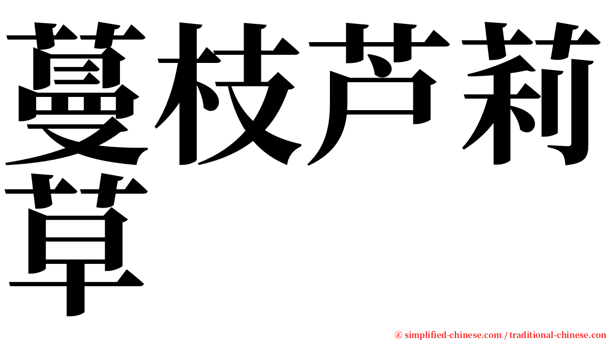 蔓枝芦莉草 serif font