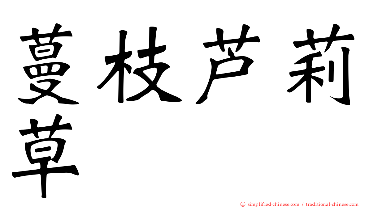 蔓枝芦莉草
