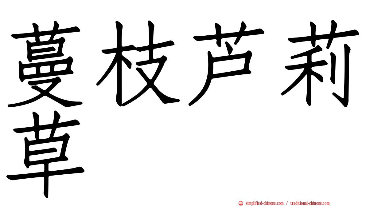 蔓枝芦莉草