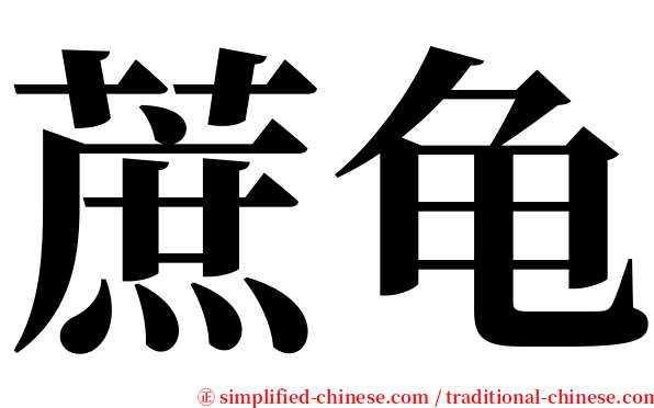蔗龟 serif font
