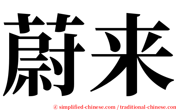 蔚来 serif font
