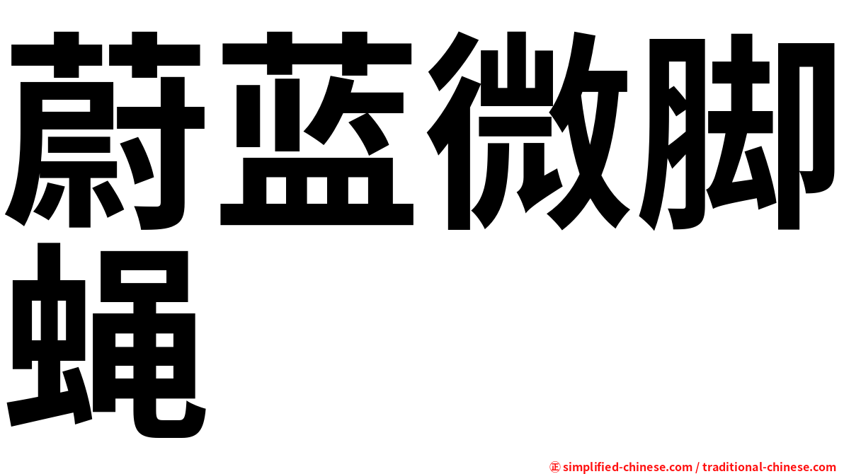 蔚蓝微脚蝇