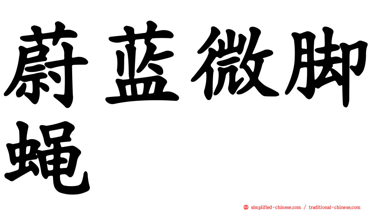 蔚蓝微脚蝇