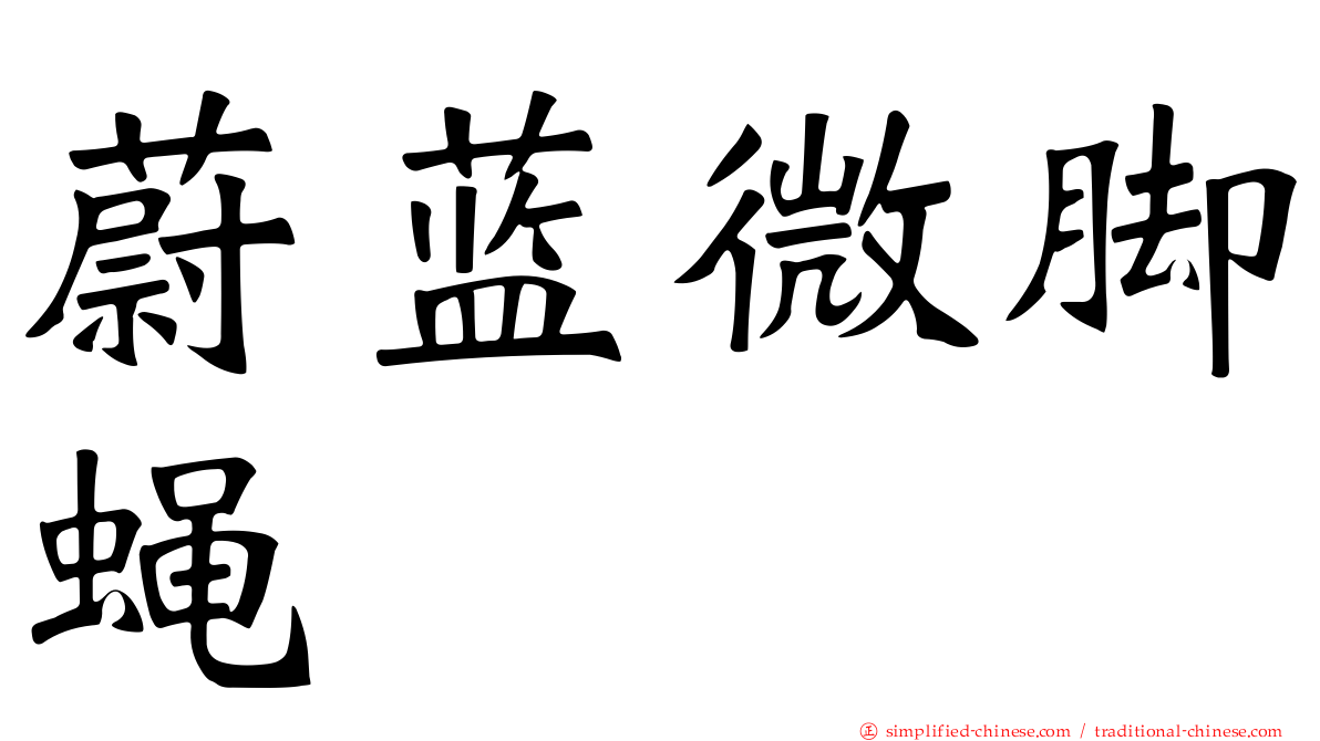 蔚蓝微脚蝇