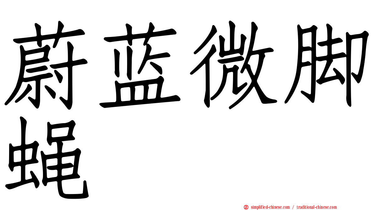 蔚蓝微脚蝇