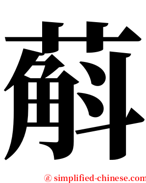 蔛 serif font