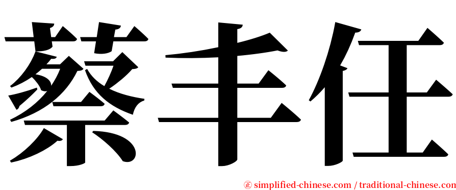 蔡丰任 serif font