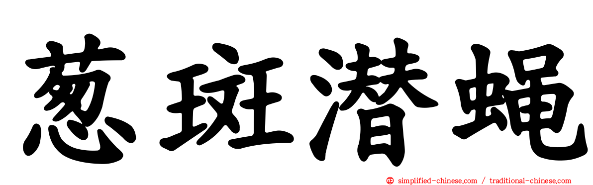 葱斑潜蝇