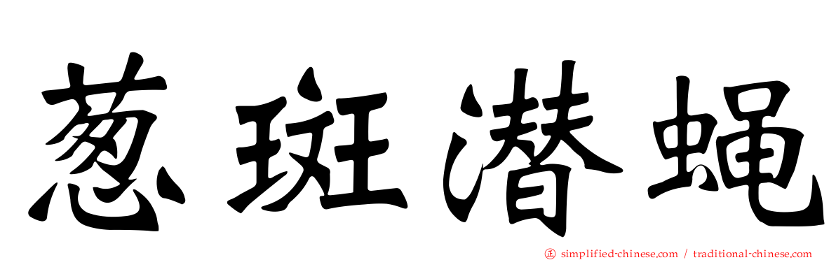 葱斑潜蝇