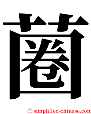 蔨 serif font