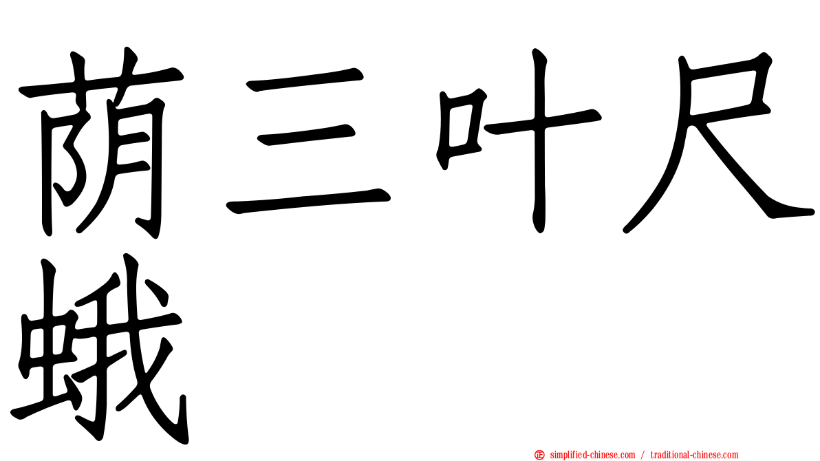 荫三叶尺蛾