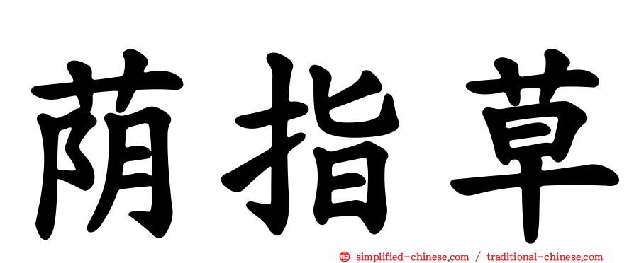 荫指草