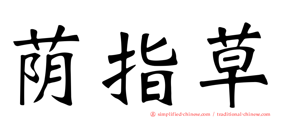 荫指草