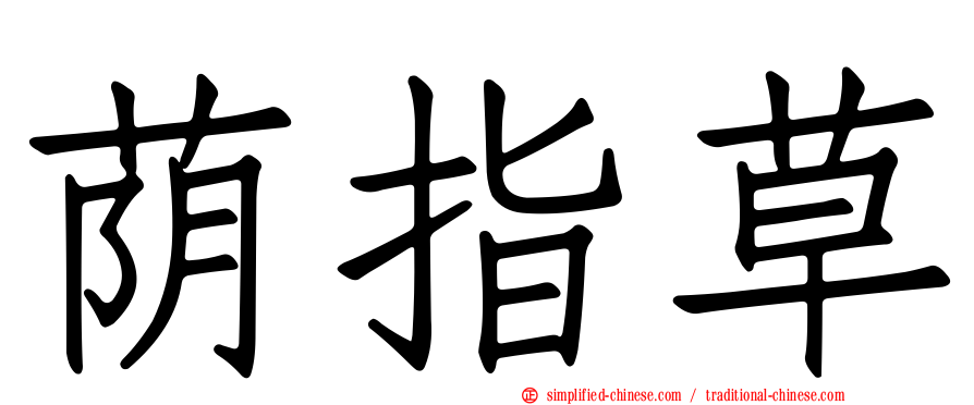 荫指草