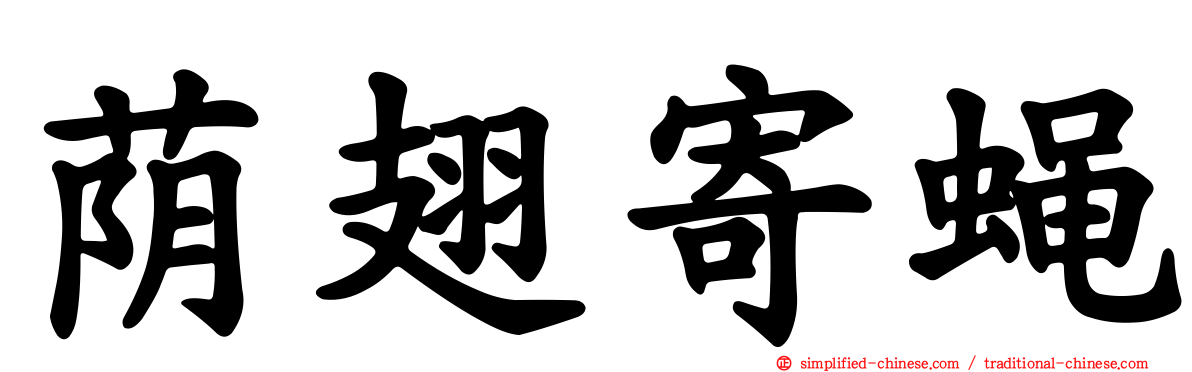 荫翅寄蝇