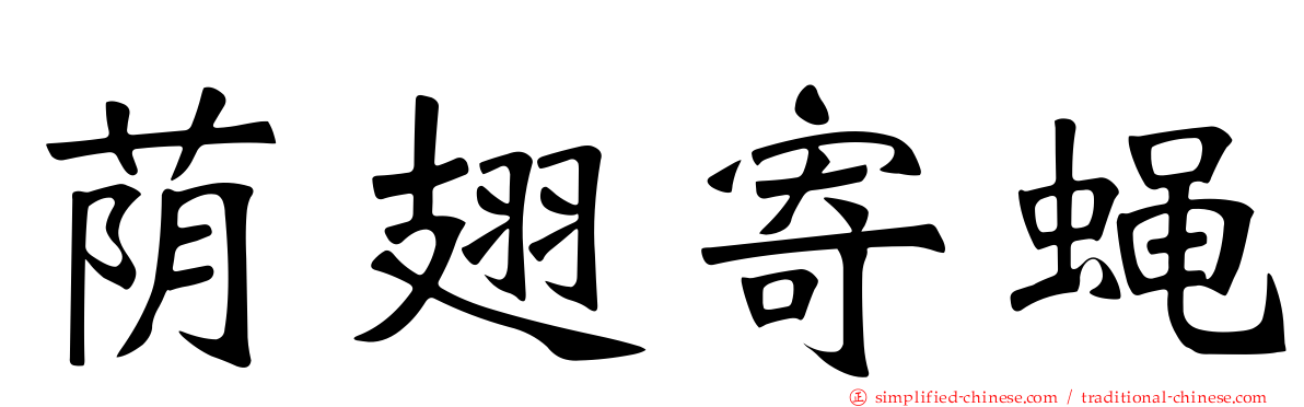 荫翅寄蝇