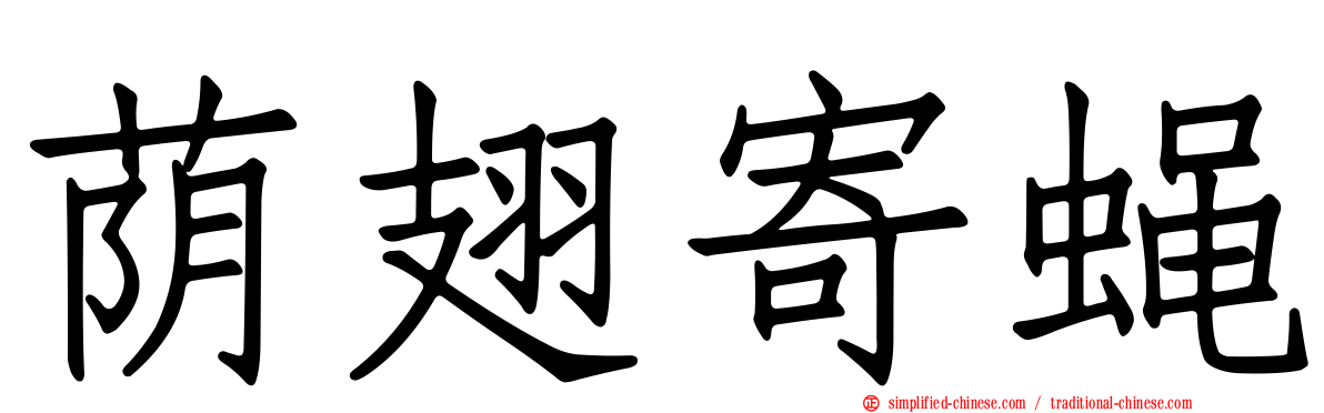 荫翅寄蝇