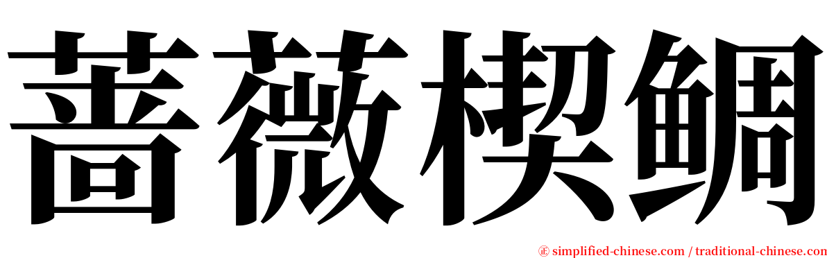 蔷薇楔鲷 serif font