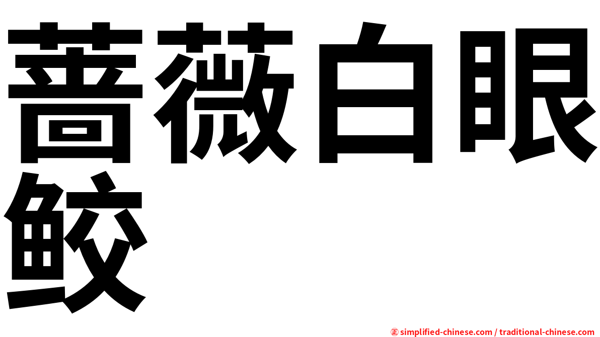 蔷薇白眼鲛